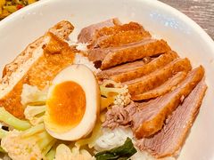 金奖卤鹅肉饭-陈鹏鹏潮汕菜(宝安机场T3航站楼店)