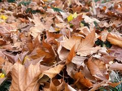 -江墅铁路遗址公园