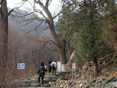 -北京鹫峰国家森林公园