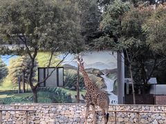 -北京野生动物园