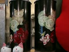 -猫咪博物馆(顶澳仔猫街店)