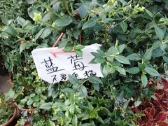 -细村农贸综合市场