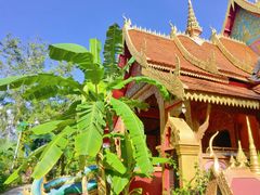 -西双版纳傣族园