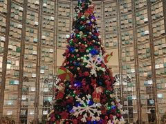 -青雅中餐厅(大连金石滩绿发希尔顿度假酒店)