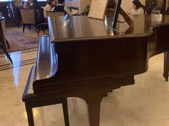 -上海和平饭店茉·莉酒廊 Jasmine Lounge