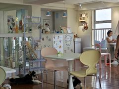 -汪说·狗咖·拼豆·宠物周边DIY(旺城大厦店)