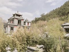 -老张烤羊(王哥庄店)
