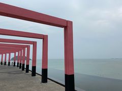-漳州滨海火山岛自然生态风景区