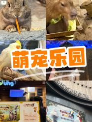 -Zoolung Zoolung动物主题公园(海信广场店)