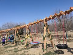 -黄海国家森林公园