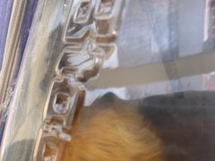 -艾吉宠物医院·疑难杂症转诊中心·猫友好(碧江路院)