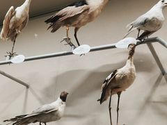 -中国湿地博物馆