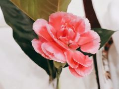 -万宝海鲜舫(劳动公园店)