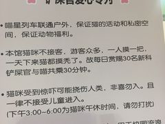 -猫咪博物馆(顶澳仔猫街店)