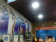 -洛阳龙门海洋馆