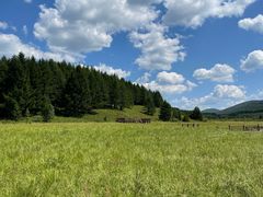 -塞罕坝国家级自然保护区