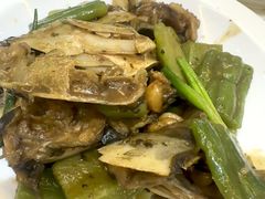 -港升鱼师傅·中山脆肉鲩