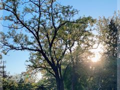 -元大都城垣遗址公园