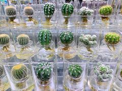 -KKV(深圳宏发大仟里店)