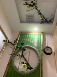 -芳朵美容养生SPA