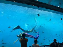 -瑞德姆美人鱼海底演艺主题餐厅(亚龙湾店)