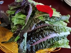 -野菌皇海景野生菌火锅(滨海大道店)
