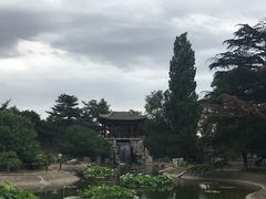 -国家植物园南园