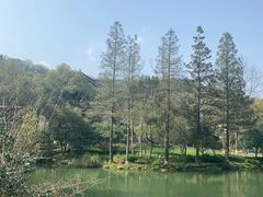 -杭州花家山庄