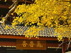 -大慈岩风景区