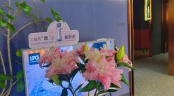 -花隐·美芙炫海菲秀皮肤管理中心