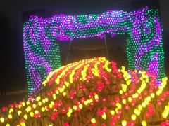 -长春公园(普阳街道)