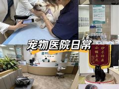-美联众合动物医院·24h转诊中心