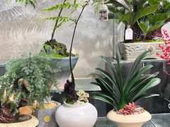 -双季花艺园艺市场(浦东店)