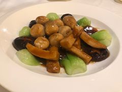三菇青菜-葡京日丽(澳门葡京酒店)