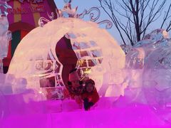 -哈尔滨热雪奇迹