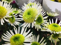 -三旗百汇商品城