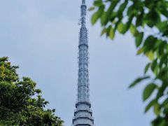 -梧桐山风景名胜区