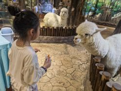 -宝燕乐园(闵行旗舰店)