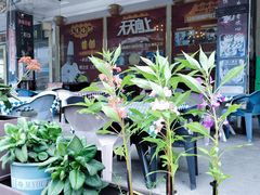 -巽寮印象美食部落餐厅·海鲜·地方特色菜(惠州体验店)