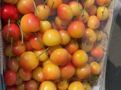 -西郊国际农产品交易中心
