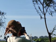 -暨阳湖生态园