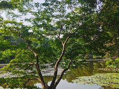 -杭州植物园