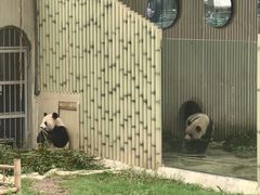 -重庆动物园·东二门售票处