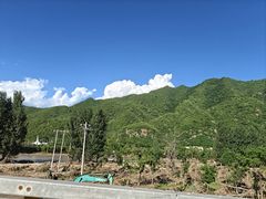 -御道口草原森林风景区