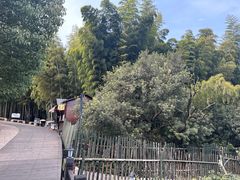 -树山生态村