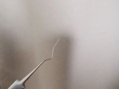 -村上一屋(望京店)