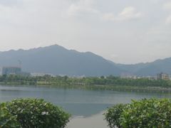 -飞来湖湿地公园