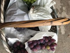 -马陆小张葡萄园农家乐