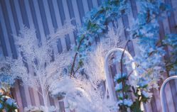 -艾米婚纱&婚礼策划