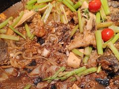 -老板恋上鱼(印象城店)